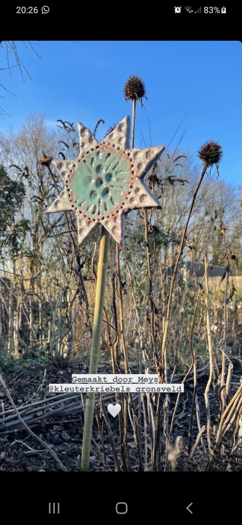 WinterSterren project